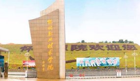 ����ְҵ����ѧԺ